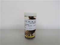 藏品(麻雀)的圖片